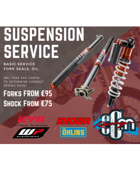 Bronze Front Suspension Service