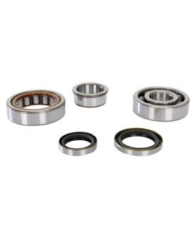 PROX CRANKSHAFT BEARING AND SEAL KIT