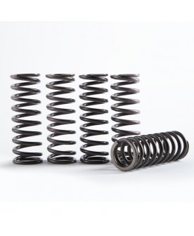 ORO CLUTCH SPRINGS RMZ 250