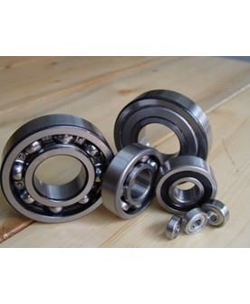 6004 BEARING