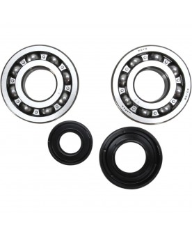 CRANKSHAFT BEARING AND SEAL KIT