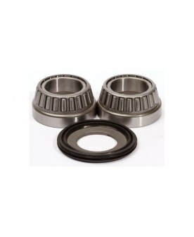 Surron Tappered Headstock Bearings 