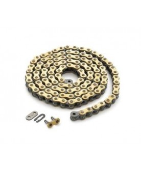 Regina 520x118Link Chain - Gold 